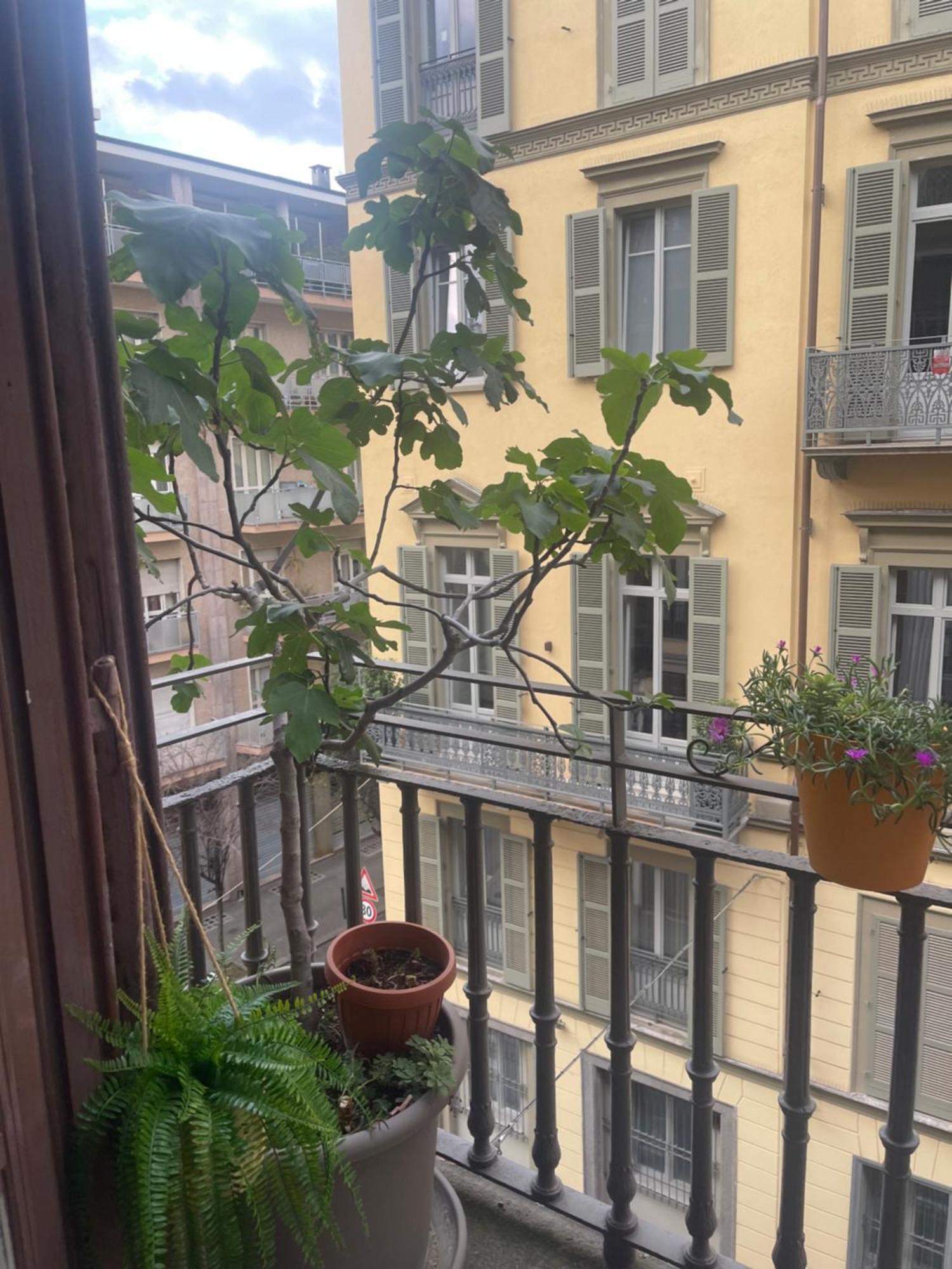 Torino Natura In Centro Exterior photo